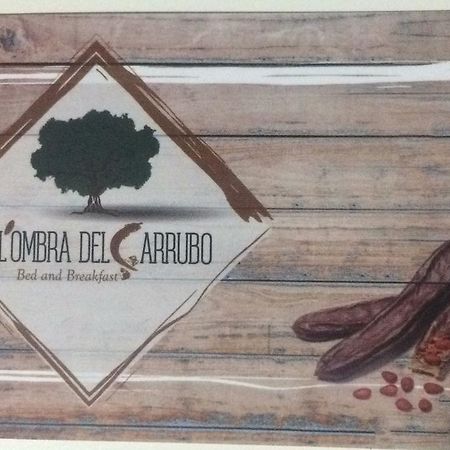All'Ombra Del Carrubo - Metaponto Exterior photo